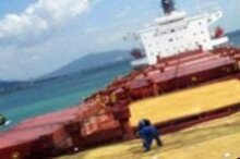 Россия: ВМТП расширяет спектр услуг по работе с зерновыми грузами