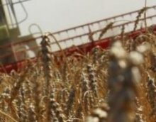 Россия предложит Казахстану и Белоруссии временно запретить экспорт