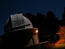 Цены на хлеб будут стабильными из-за продовольственного зерна