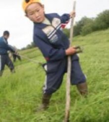 Необходим комплексный подход в развитии села Глава