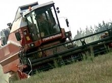 Валовой сбор зерна в Беларуси составил 3 миллиона тонн Новости. 