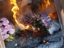 Россельхознадзор предотвратил ввоз зараженных цветов на территорию России