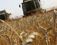 Пресс-служба Кремля: эмбарго на экспорт зерна снимут в 2011 году