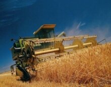 В Воронежской области собран первый миллион зерновых