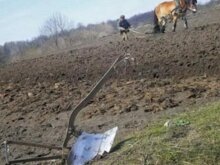 К примеру, Япония категорически запрещает продажу пахотных земель