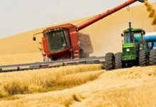 Их результат этим летом в 7,9 млн тонн зерна и зерно-бобовых культур