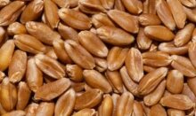 Цены линейно растут на проблемах конкурентов. 