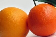 Россия: 5 партий цитрусовых из Марокко прошли обеззараживание