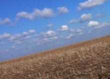 Украина соберет 48,7 миллиона тонн зерна