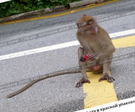 Конфета в дорогу | business-rostov.ru