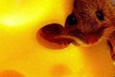 Как россия готовится к войне